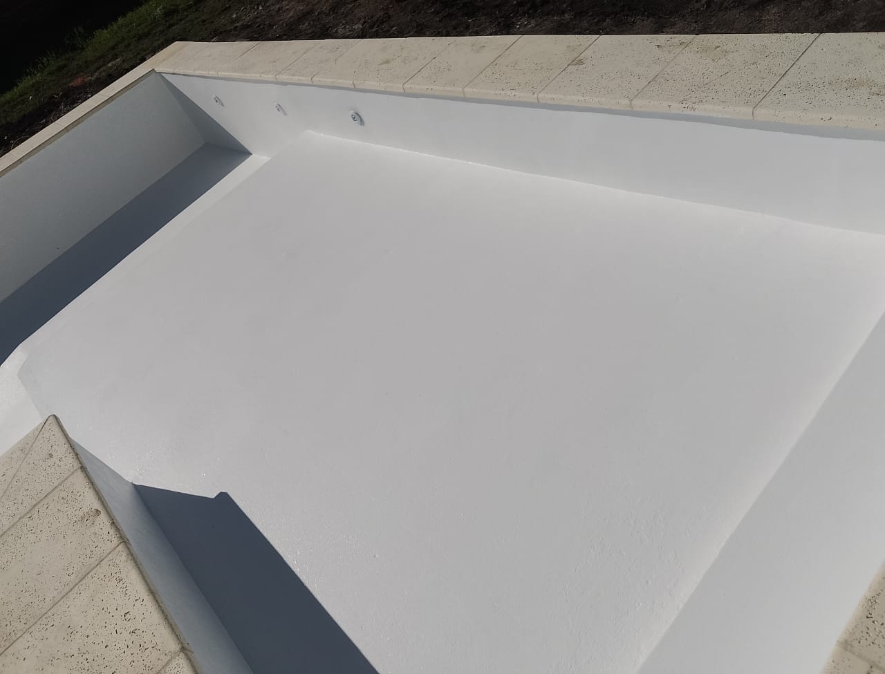 Diseño de piscina con detalles de paisajismo